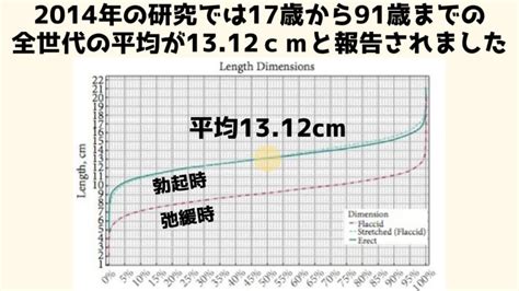 勃起長さ平均|勃起